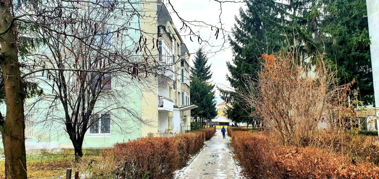 5 Min To Everything-Stylish-Modern-Old City Center Braşov Buitenkant foto